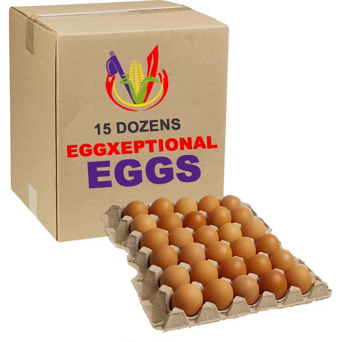 15dozens-2