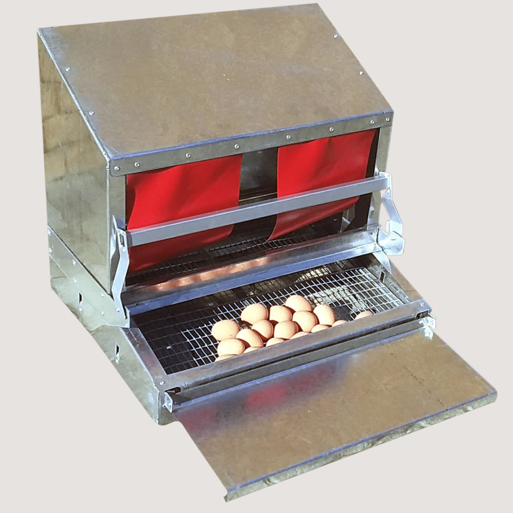 incubator1