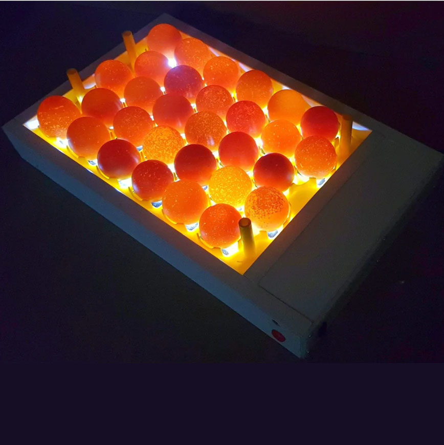 incubator2a