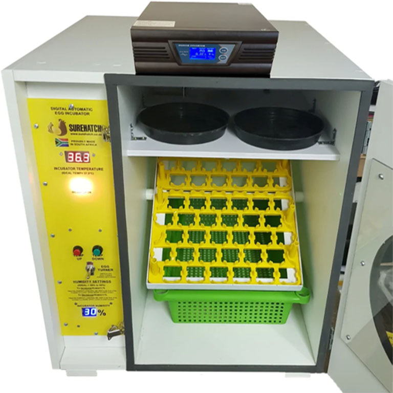 incubator4