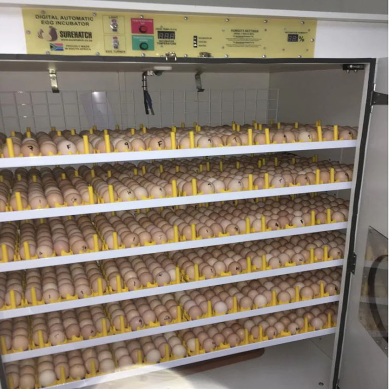 incubator18b