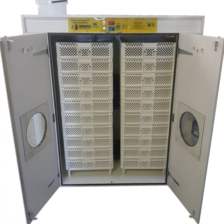 incubator19