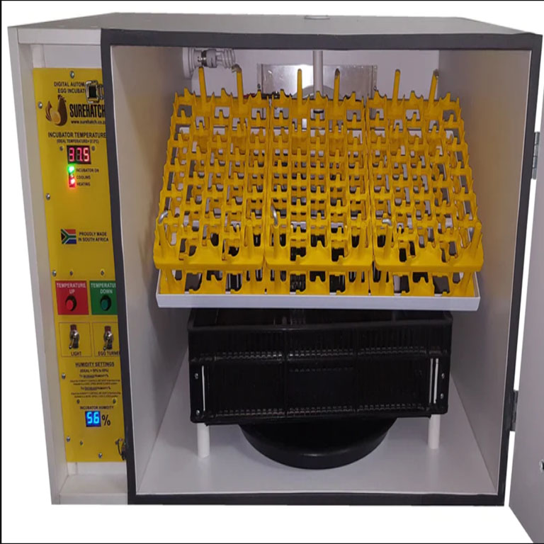 incubator7