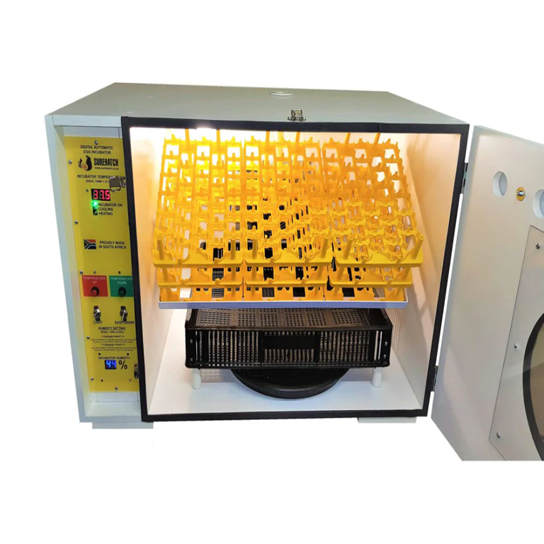 incubator8